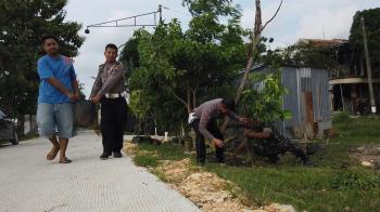 Cegah Banjir, Sat lantas Grobogan gencarkan aksi tanam pohon